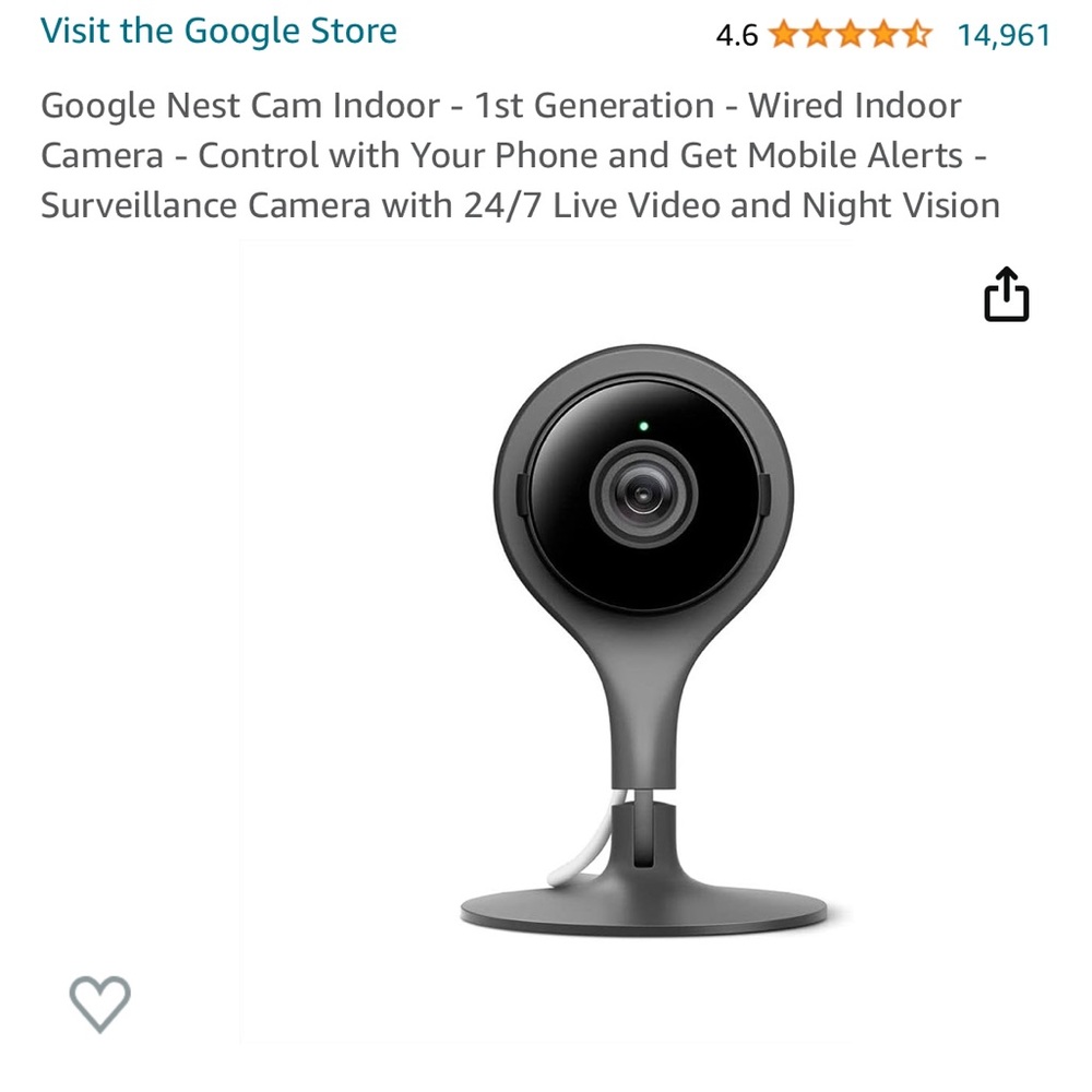 Nest indoor cam